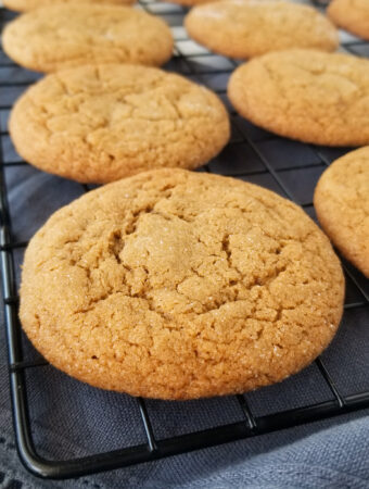best chewy molasses cookies